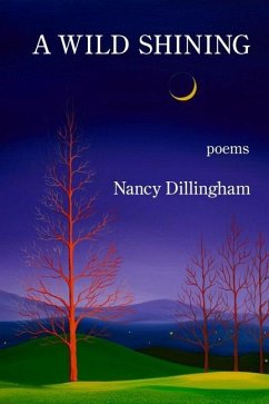 A Wild Shining - Dillingham, Nancy