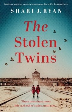 The Stolen Twins - Ryan, Shari J