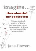 Imagine The Colorful Mr. Eggleston (eBook, ePUB)