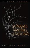 Sunrays Among Shadows (eBook, ePUB)
