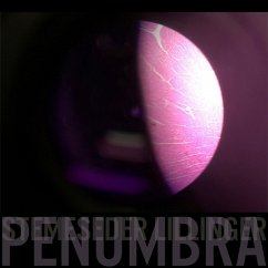 Penumbra (Lp) - Lillinger,Christian/Stemeseder,Elias