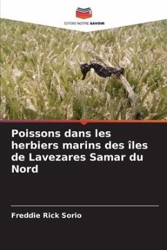 Poissons dans les herbiers marins des îles de Lavezares Samar du Nord - Sorio, Freddie Rick