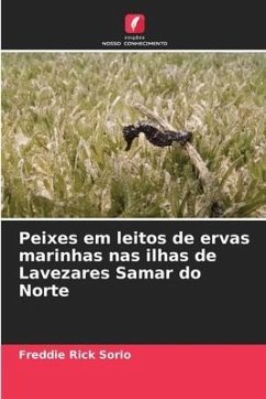 Peixes em leitos de ervas marinhas nas ilhas de Lavezares Samar do Norte - Sorio, Freddie Rick