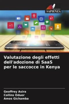 Cover Valutazione degli effetti dell'adozione di SaaS per le saccocce in Kenya