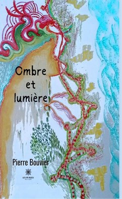 Ombre et lumière (eBook, ePUB) - Bouvier, Pierre