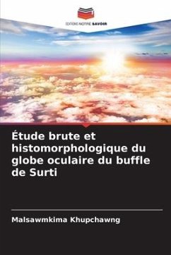 Étude brute et histomorphologique du globe oculaire du buffle de Surti - Khupchawng, Malsawmkima