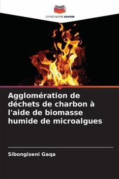 Agglomération de déchets de charbon à l'aide de biomasse humide de microalgues - Gaqa, Sibongiseni