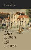 Das Eisen im Feuer (eBook, ePUB)