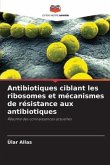 Antibiotiques ciblant les ribosomes et mécanismes de résistance aux antibiotiques