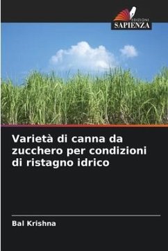 Varietà di canna da zucchero per condizioni di ristagno idrico - Krishna, Bal