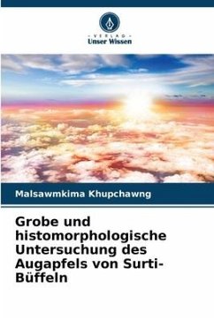 Grobe und histomorphologische Untersuchung des Augapfels von Surti-Büffeln - Khupchawng, Malsawmkima