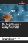The Social Report, a Human Resources Management tool