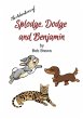 Splodge, Dodge and Benjamin - Bild 1