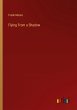 Flying From a Shadow - Bild 1
