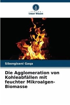 Die Agglomeration von Kohleabfällen mit feuchter Mikroalgen-Biomasse - Gaqa, Sibongiseni