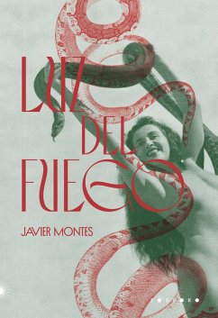 Luz Del Fuego (eBook, ePUB) - Montes, Javier; Felix, Silvia Massimini