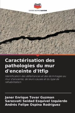 Caractérisation des pathologies du mur d'enceinte d'Itfip - Tovar Guzman, Janer Enrique;Esquivel Izquierdo, Sarasvati Seidad;Ospina Rodríguez, Andrés Felipe