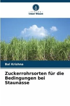 Zuckerrohrsorten für die Bedingungen bei Staunässe - Krishna, Bal