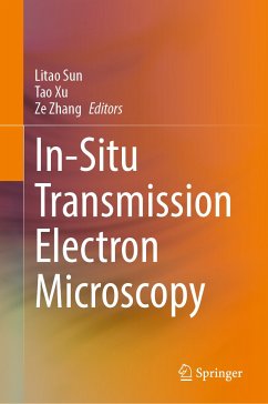 In-Situ Transmission Electron Microscopy (eBook, PDF)