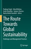 The Route Towards Global Sustainability (eBook, PDF)