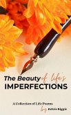 The Beauty of Life's Imperfections (eBook, ePUB)