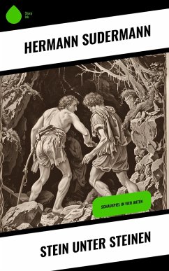 Stein unter Steinen (eBook, ePUB) - Sudermann, Hermann