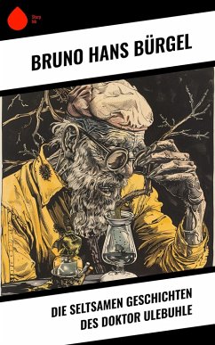 Cover Die seltsamen Geschichten des Doktor Ulebuhle (eBook, ePUB)