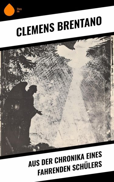 Aus der Chronika eines fahrenden Schülers (eBook, ePUB)