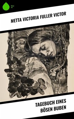 Cover Tagebuch eines bösen Buben (eBook, ePUB)