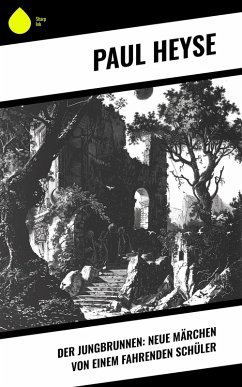 Cover Der Jungbrunnen: Neue Märchen von einem fahrenden Schüler (eBook, ePUB)