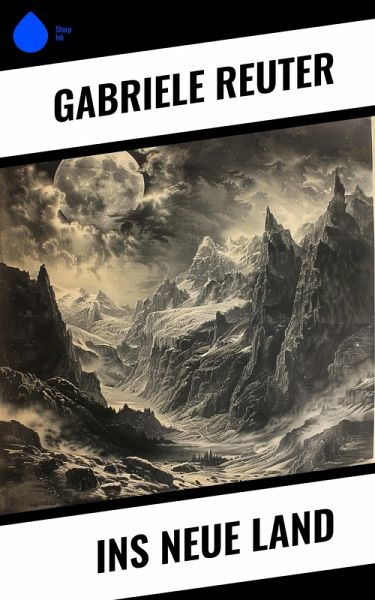 Ins neue Land (eBook, ePUB)