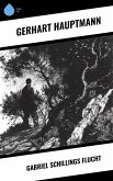 Gabriel Schillings Flucht (eBook, ePUB) Gabriel Schillings Flucht (eBook, ePUB)