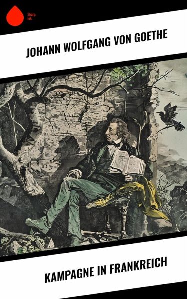 Kampagne in Frankreich (eBook, ePUB)