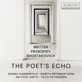 The Poet'S Echo