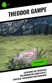 Erzgebirge mit Einschluss der böhmischen Bäder Teplitz, Karlsbad, Franzensbad und Marienbad (eBook, ePUB)