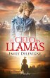 El cielo en llamas (eBook, ePUB) - Bild 1
