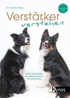 Verstärker verstehen (eBook, ePUB) - Theby, Viviane