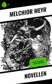 Novellen (eBook, ePUB)