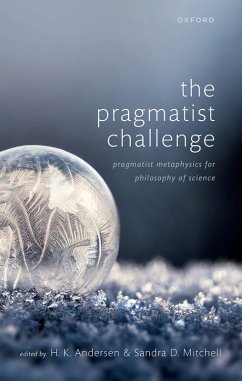 The Pragmatist Challenge (eBook, PDF)