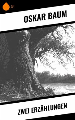 Zwei Erzählungen (eBook, ePUB) - Baum, Oskar