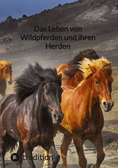 Das Leben von Wildpferden und ihren Herden - Moritz