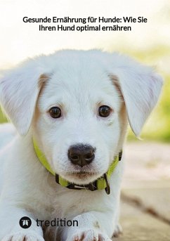 Gesunde Ernährung für Hunde: Wie Sie Ihren Hund optimal ernähren - Moritz