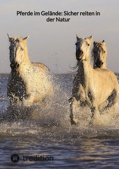 Pferde im Gelände: Sicher reiten in der Natur - Moritz