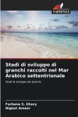 Stadi di sviluppo di granchi raccolti nel Mar Arabico settentrionale