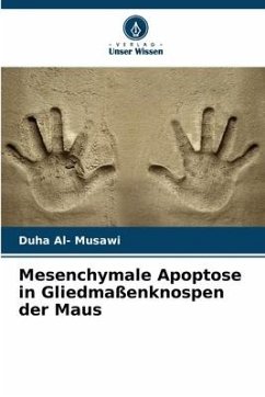 Cover Mesenchymale Apoptose in Gliedmaßenknospen der Maus