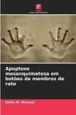 Apoptose mesenquimatosa em botões de membros de rato