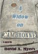 A Widow on Cambronne - Bild 1