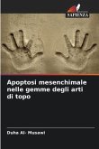 Apoptosi mesenchimale nelle gemme degli arti di topo