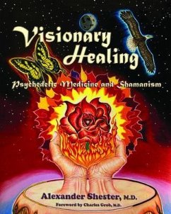 Cover VISIONARY HEALING Psychedelic Medicine and Shamanism (eBook, ePUB)