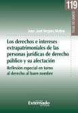 Los derechos e intereses extrapatrimoniales de las personas jurídicas de derecho público y su afectación (eBook, PDF)
